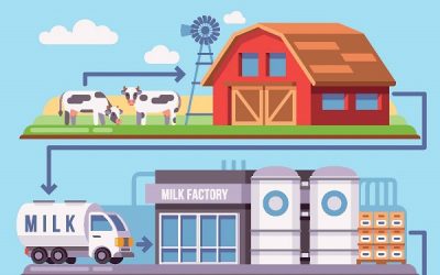 Thinking Food Grid Corporation of India!